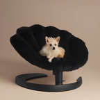 The Clamshell Swivel Lounger