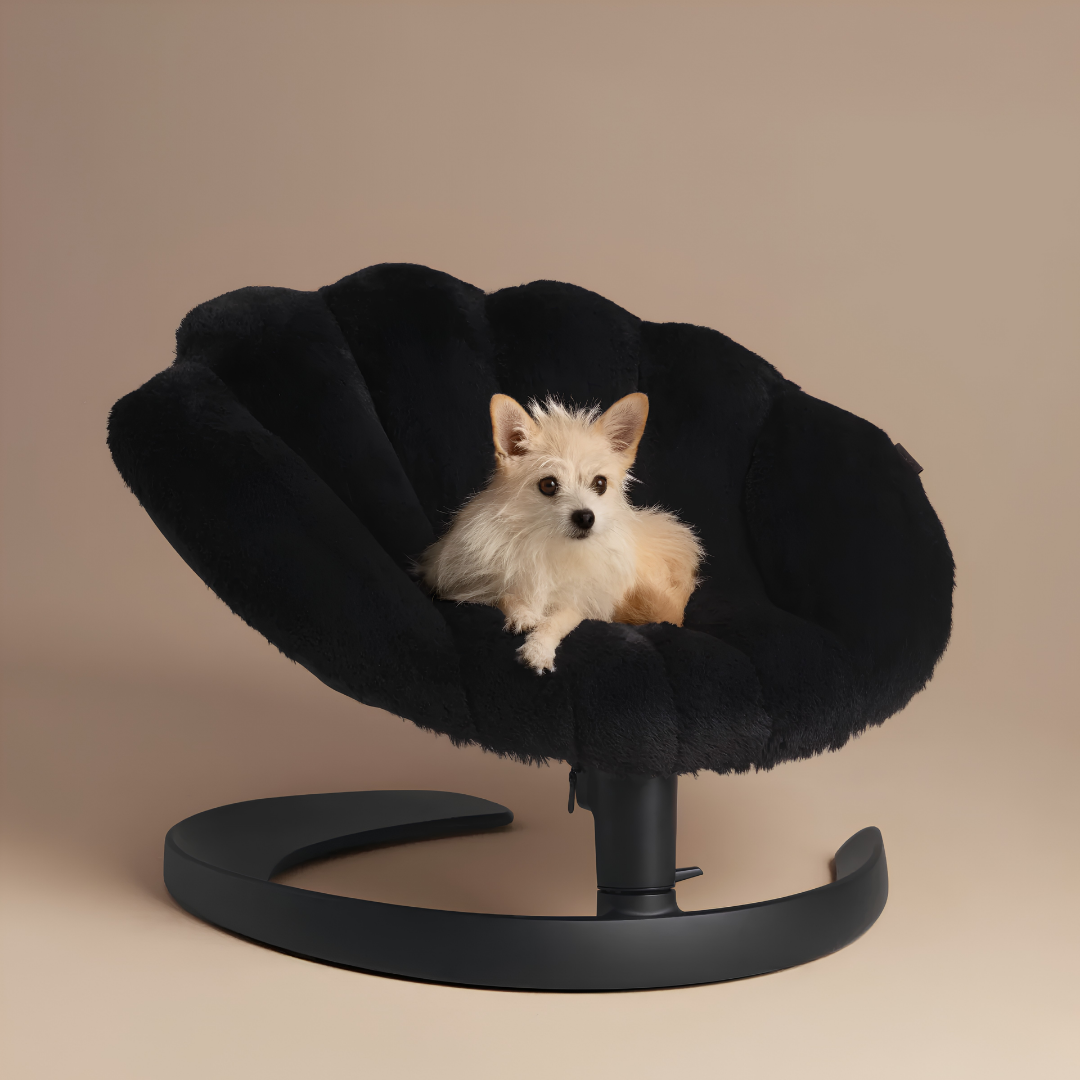 The Clamshell Swivel Lounger