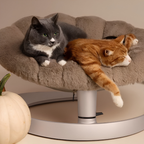 The Clamshell Swivel Lounger
