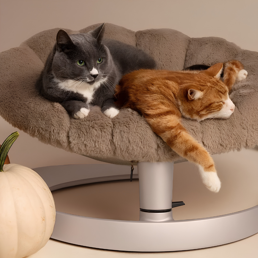 The Clamshell Swivel Lounger